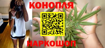 прущие крисы Славгород