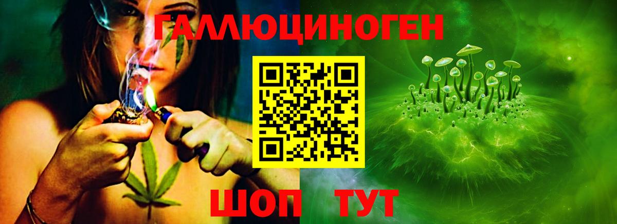 Пушкино  Псилоцибиновые грибы GOLDEN TEACHER  Вход с VPN  Псилоцибиновые грибы ЛСД 